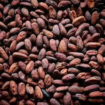 COCOA 2