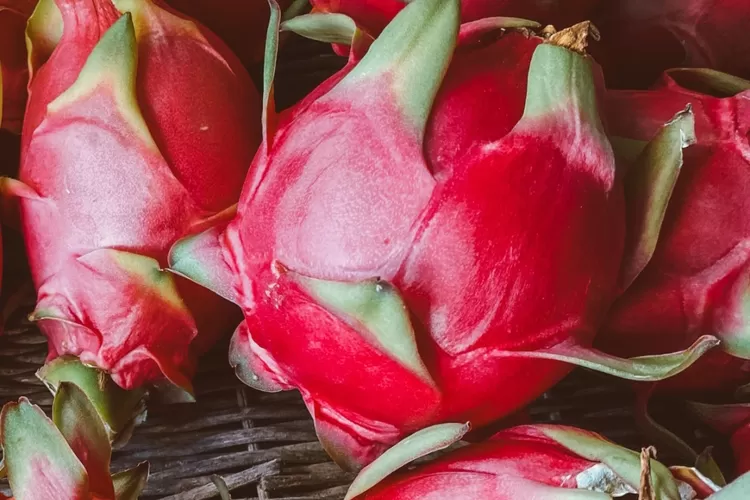 DRAGON FRUIT 2