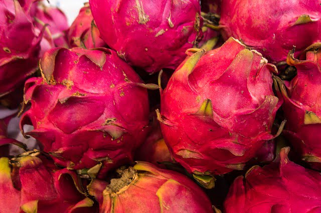 DRAGON FRUIT 3