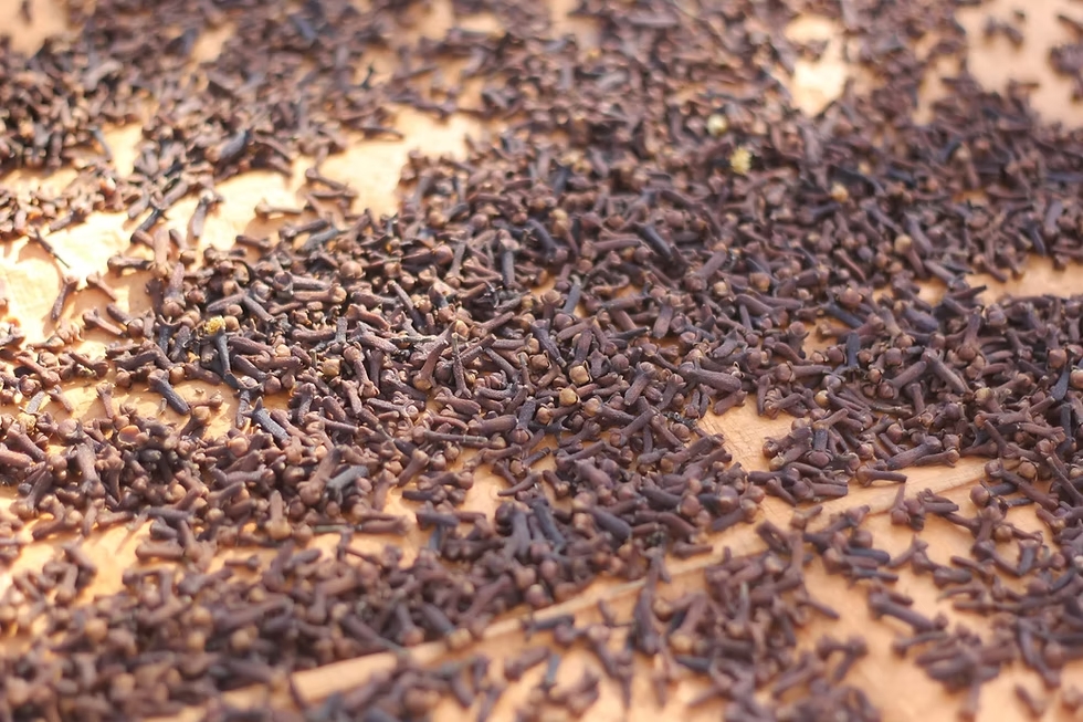 CLOVE 2