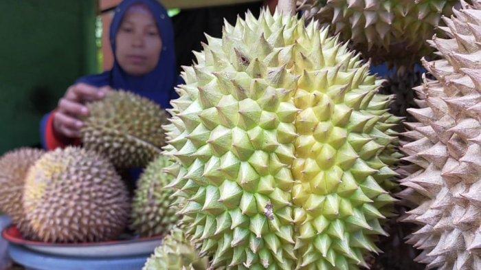 DURIAN 3