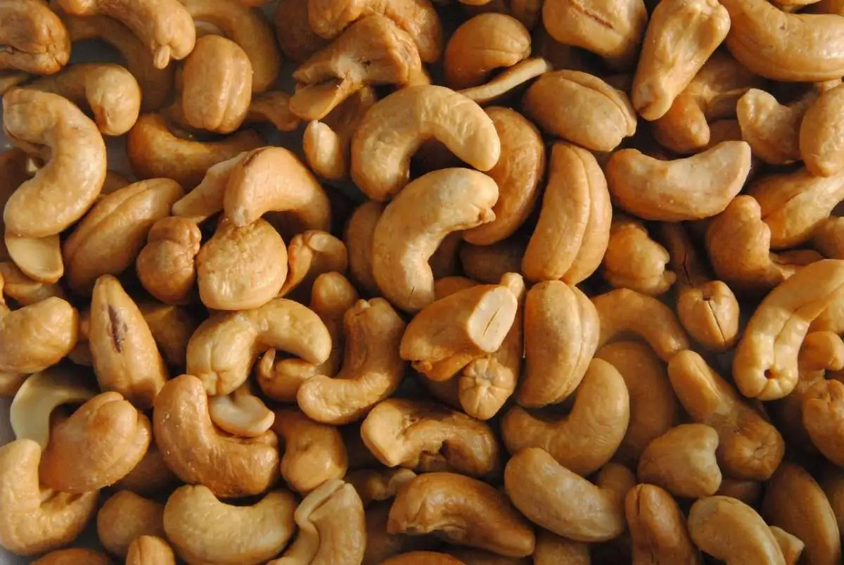 CASHEW 1