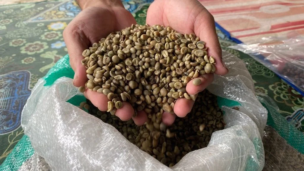 COFFE BEAN 2