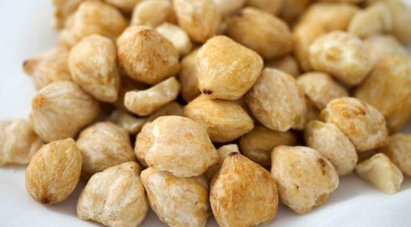 CANDLENUT 1