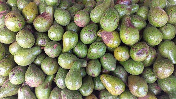 AVOCADO 2